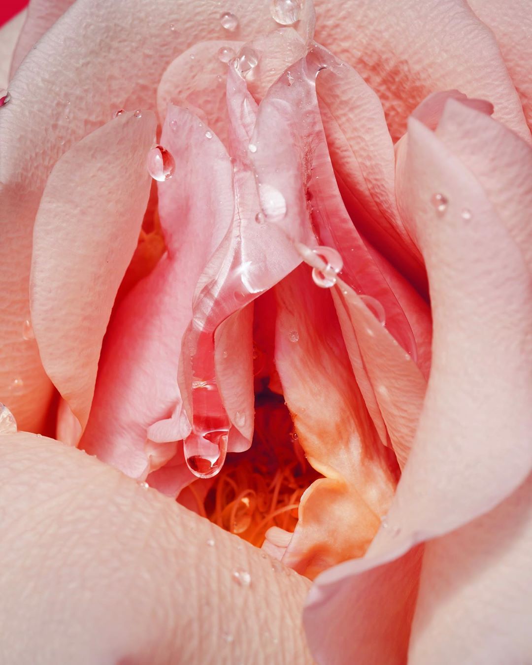Pleasure is the measure: let's get cliterate.